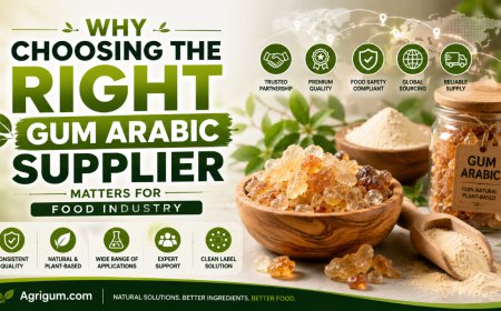 Why Choosing the Right Gum Arabic Supplier Matters for Food
