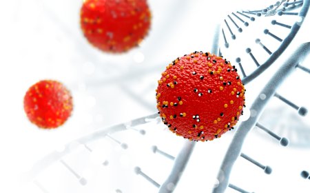 Global X-linked Hypophosphatemia Market Size, Trends, and Growth Forecast 2026-2033