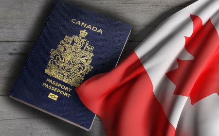 Onshore Immigration Recognized Among Best Immigration Consultants in Brampton, Ontario