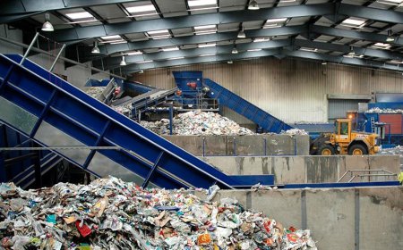 Sustainable Waste Segregation Practices for a Cleaner Tomorrow