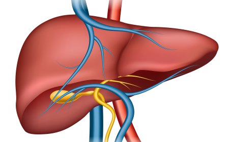 Global Liver Cirrhosis Market Size, Trends, and Growth Analysis 2026-2033