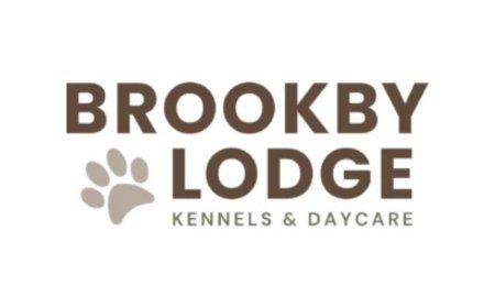 Dog Daycare Near Me, Dog Daycare Auckland and Cattery Auckland