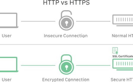 SSL Certificates & HTTPS Protocols