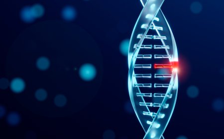 Genome Editing Market Size, Trends, and Growth Forecasts to 2033