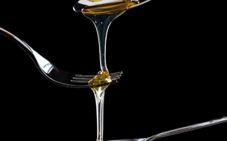 Global Glucose Syrup Market Size, Trends, and Growth Strategies 2026-2033