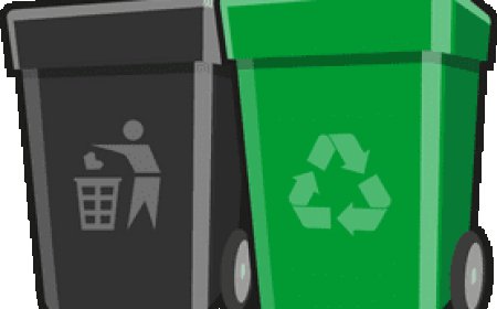 Affordable Trash Bin Cleaning Service by Trusted Cleaning Experts