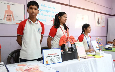 NN RSV Senior Secondary School Bikaner Opens Admissions for 2026-27