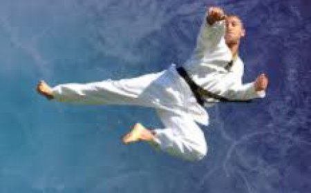 Pinnacle Martial Arts | Best MARTIAL ARTS Chester Hill Classes