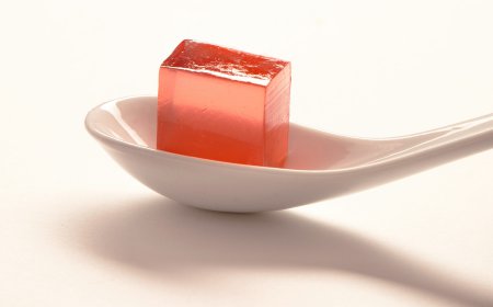 Global Gelatin Market Size, Trends, and Growth Forecast 2026-2033