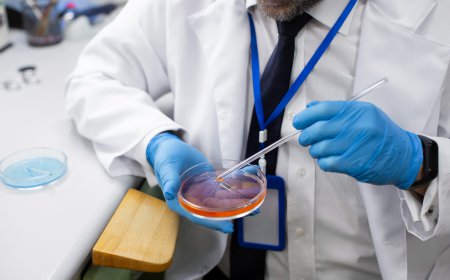 Checkpoint Inhibitor Refractory Cancer Market Size, Trends, and Growth Forecast 2026-2033