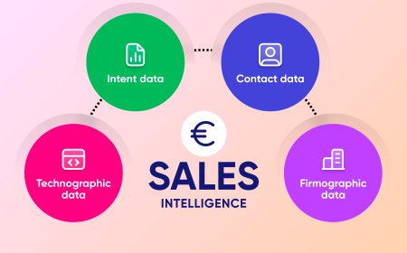 How to Use Multidata Hub for B2B Prospecting