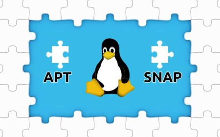 Modern Linux Package Management: APT Commands, Snap Containers, and Software Distribution
