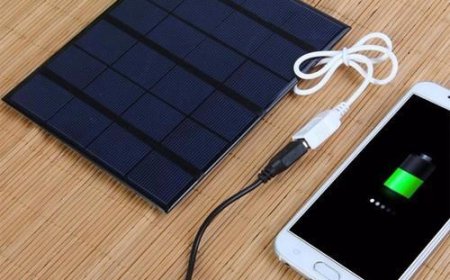 Portable Solar Charger Market Size, Trends, and Growth Forecast 2026-2033