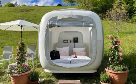 Alternative Accommodation Market: Size, Growth, Trends, and Strategic Insights