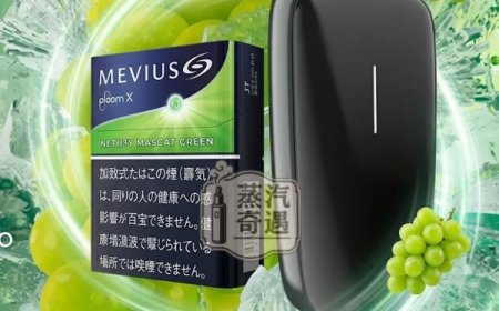 如何選擇適合的 IQOS 型號？新手必讀的選擇指南