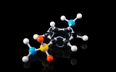 Alkyl Polyglucoside Market Size, Growth, and Trends Analysis 2026-2033