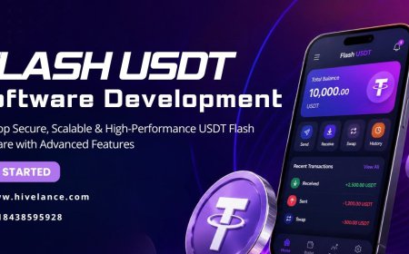 Flash USDT Transaction Simulation Software Development Guide 2026