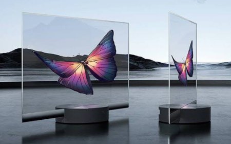 Transparent Display Market: Analysis of Size, Trends, and Strategic Growth