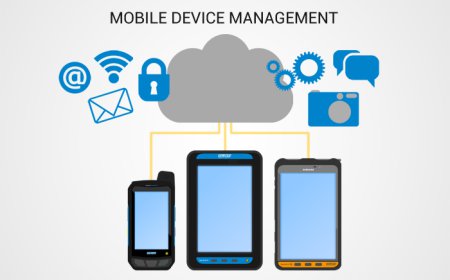 Mobile Device Management Market Size, Trends, and Growth Outlook 2026-2033