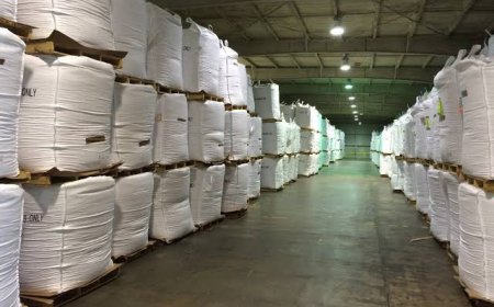 Industrial Bulk Packaging Market: Size, Trends, and Strategic Insights