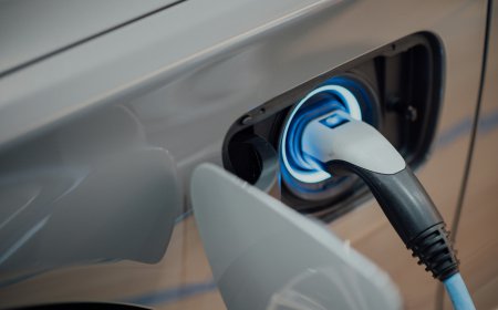 Electric Vehicle Sensor Market: Size, Trends, and Strategic Insights