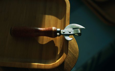 Global Can Openers Market Size, Trends, and Growth Outlook 2026-2033