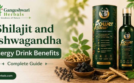 Shilajit and Ashwagandha Energy Drink Benefits: Complete Guide