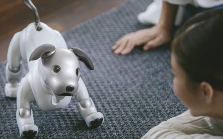Pet Robot Market Size, Trends, and Strategic Insights (2026-2033)