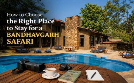 How to Choose the Right Place to Stay for a Bandhavgarh Safari