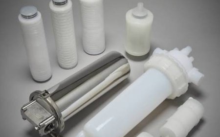 Semiconductor Filters Market Size, Growth, and Strategic Outlook 2026-2033