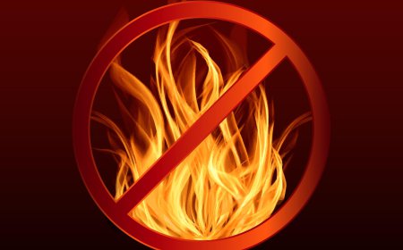 Global Flame Retardant Market Size, Trends, and Growth Forecast 2026-2033