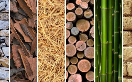 Sustainable Materials Market Size, Trends, and Growth Forecast 2026-2033