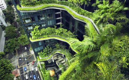 Global Green Buildings Market: Size, Trends, Drivers, and Strategic Insights