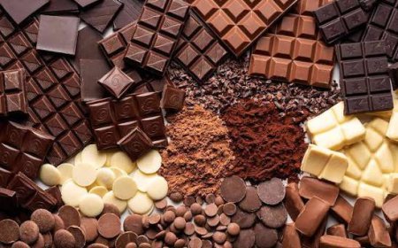 Carob Chocolate Market: Size, Trends, and Strategic Growth Insights