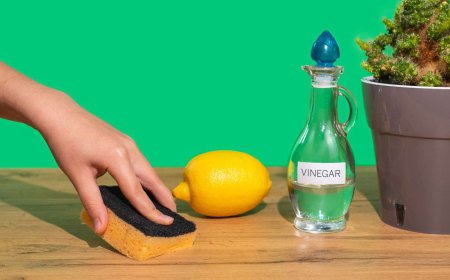 Global Vinegar Market Size, Trends, and Strategic Outlook 2026-2033