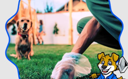 Dog Poop Yard Cleaning Service Near Me: The Easy Way to Keep Your Yard Fresh and Healthy