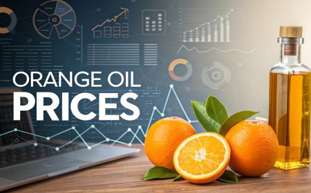 Orange Oil Prices Outlook Q2 2026: Price Index, Trends, Chart & Market Analysis