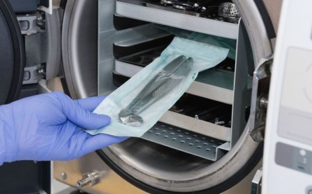 Sterilization Services Market: Size, Trends, and Growth Forecast to 2033