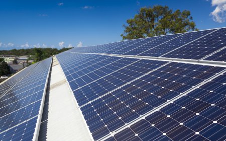 Monocrystalline Solar Cell Market Size, Trends, and Growth Analysis 2026-2033
