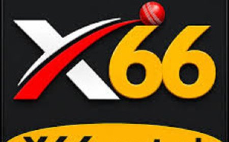 X66 Game – A Simple Informational Overview