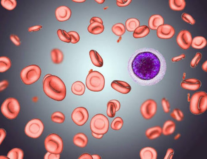 Warm Autoimmune Hemolytic Anemia Market Size and Growth Outlook 2026-2033