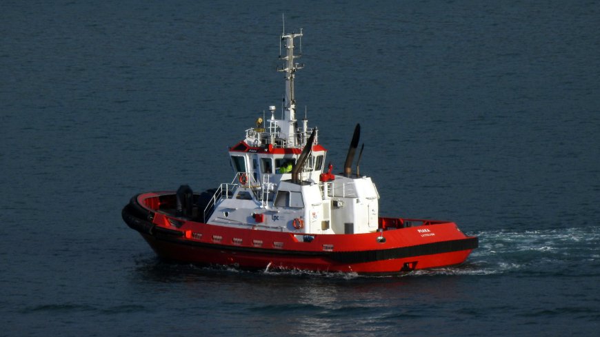 Global Tugboat Market Size, Trends, and Growth Outlook 2026-2033
