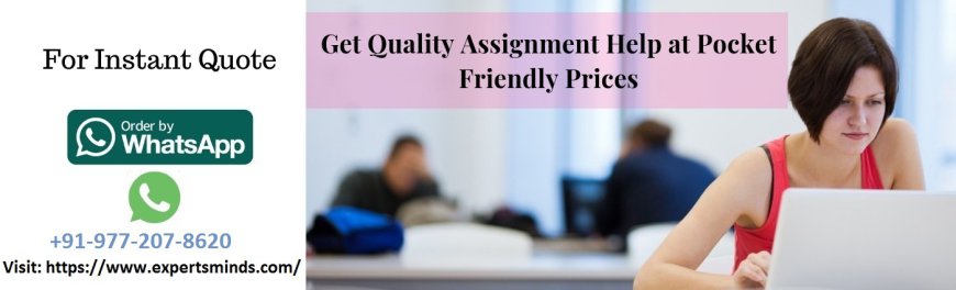 Capital Market Analysis Ratios Assignment Help – Assessing a Company's Investment Potential