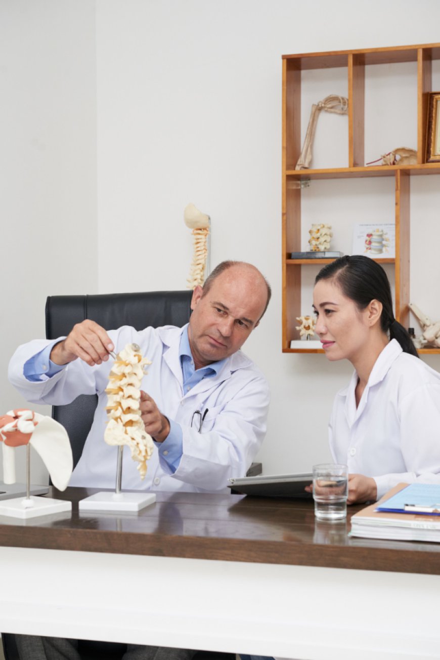 Osteosarcoma Treatment Market Size, Trends, and Growth Analysis 2026-2033