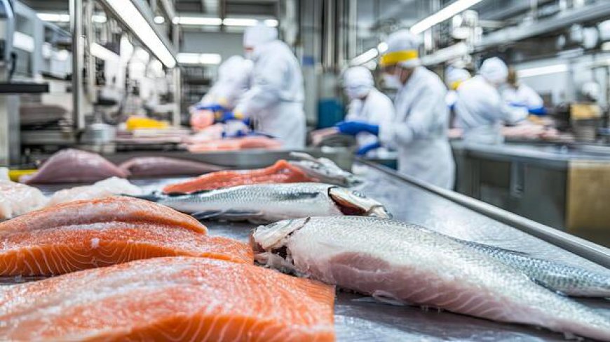 Global Fish Processing Market: Size, Trends, and Growth Insights 2026-2033