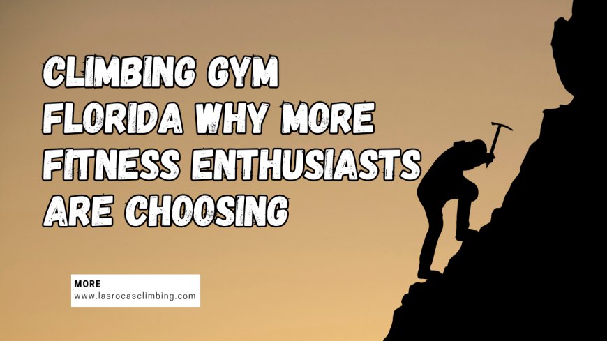 Climbing Gym Florida Why More Fitness Enthusiasts Are Choosing