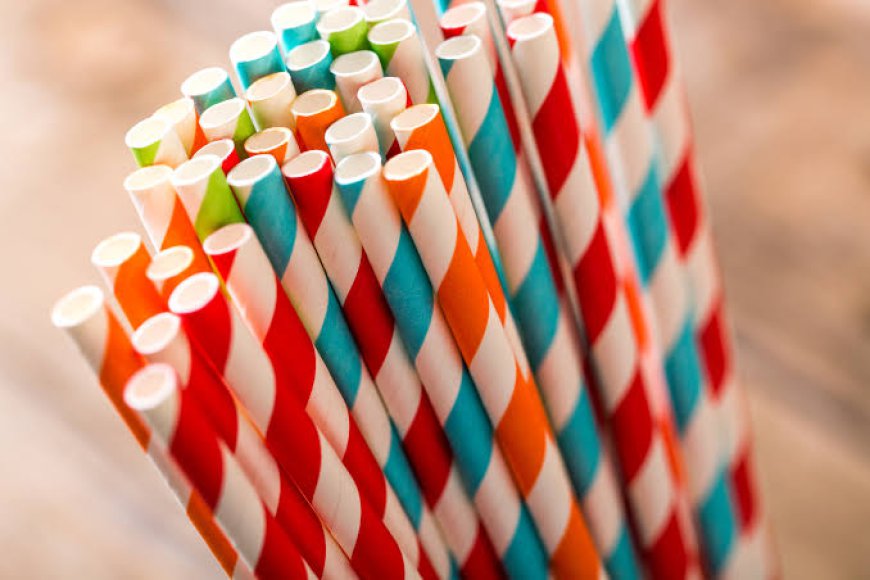 Global Paper Straw Market Size, Trends, and Growth Forecast 2026-2033