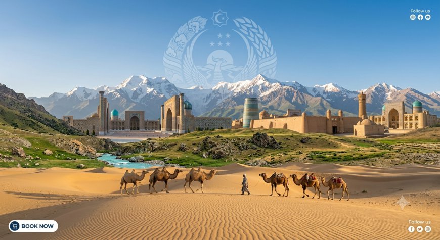 Uzbekistan Travel Guide: A Practical Journey Through Silk Road Cities