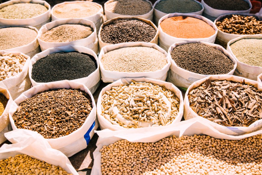 Organic Feed Market Size, Growth, Trends, and Key Drivers Analysis