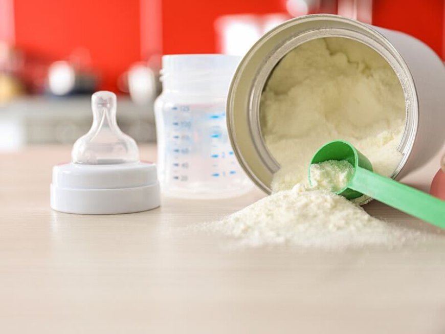 United States Infant Formula Market Size, Trends, and Growth Analysis 2026-2033